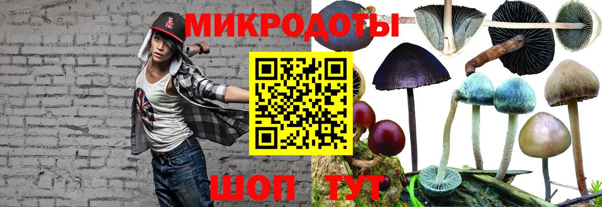 Истра  Галлюциногенные грибы Psilocybe  Вход с VPN  Галлюциногенные грибы ЛСД 