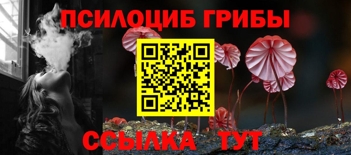Галлюциногенные грибы Psilocybe Истра